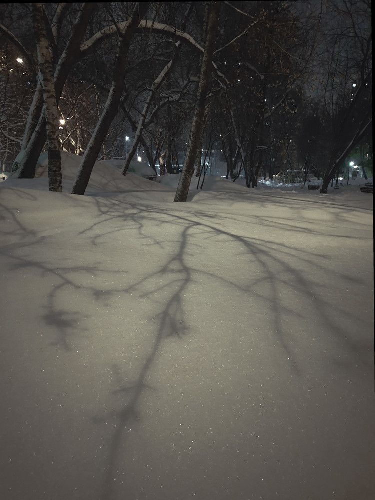Photograph by Irina Volkova