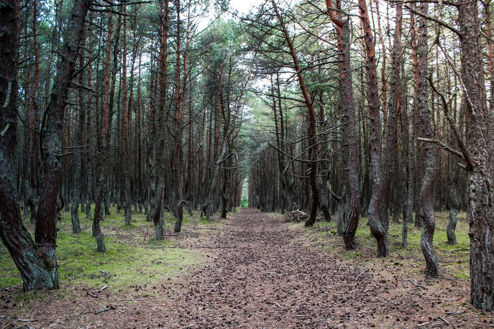 Photograph by Егор Волобуев