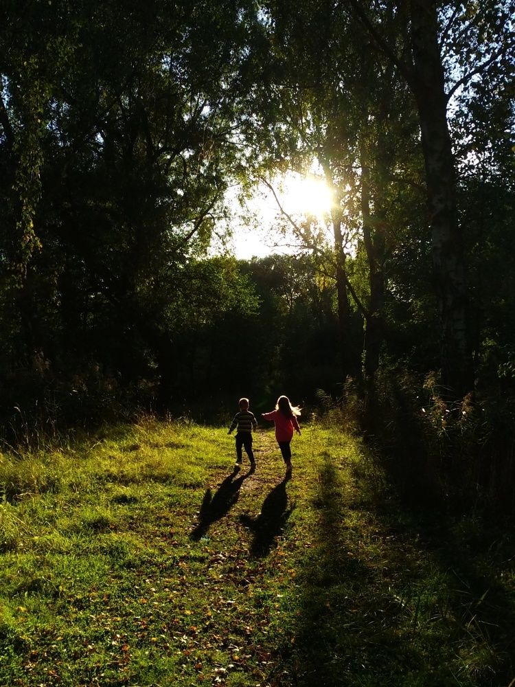 Вечерняя сказка