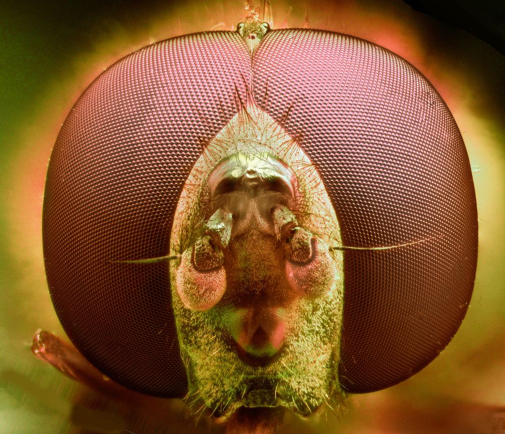 Photograph by Alexander Vayionis