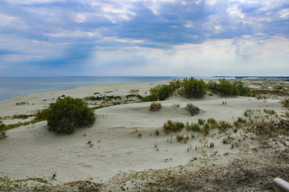 Photograph by Егор Волобуев