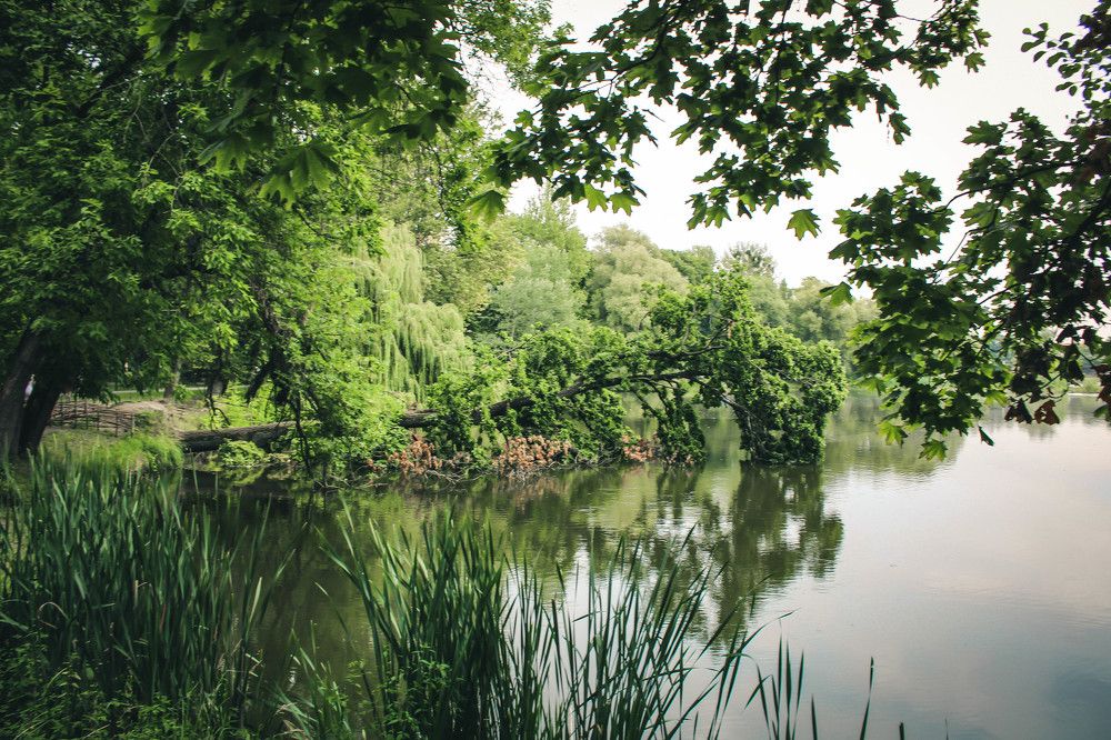 Photograph by Егор Волобуев