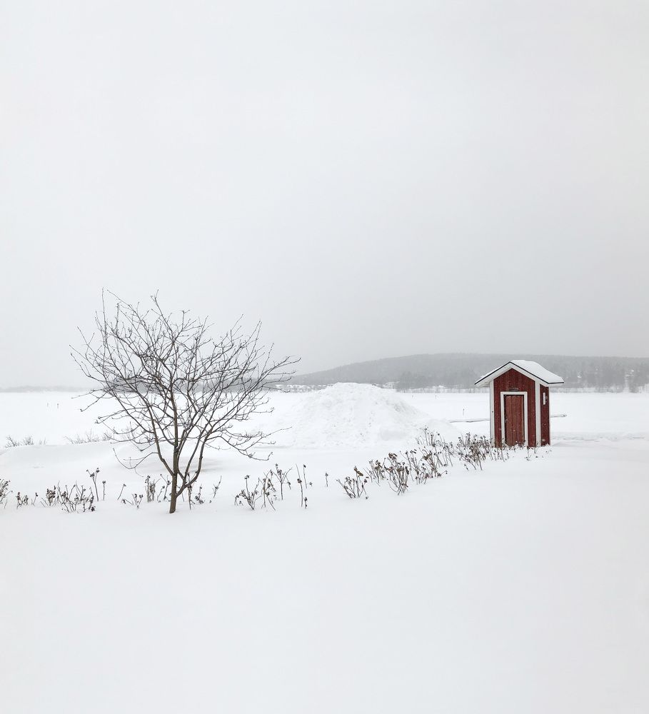 Photograph by Владимир Дорогов