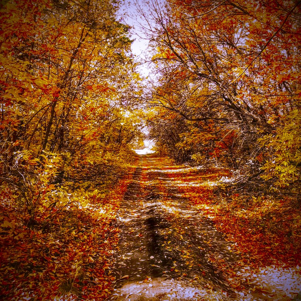 Золото и Осень!