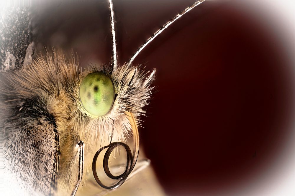 Photograph by Alexander Vayionis