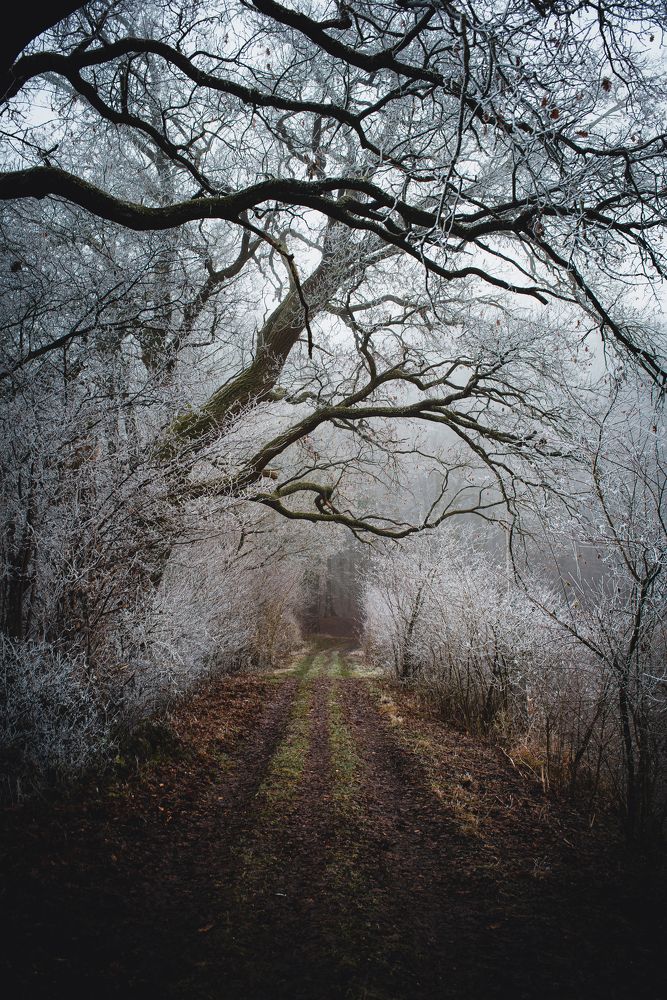 Фотография автора Kristijan Males