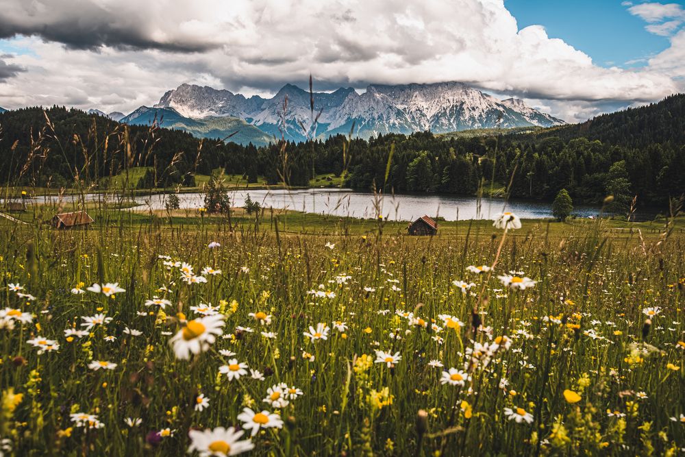 Фотография автора Kristijan Males