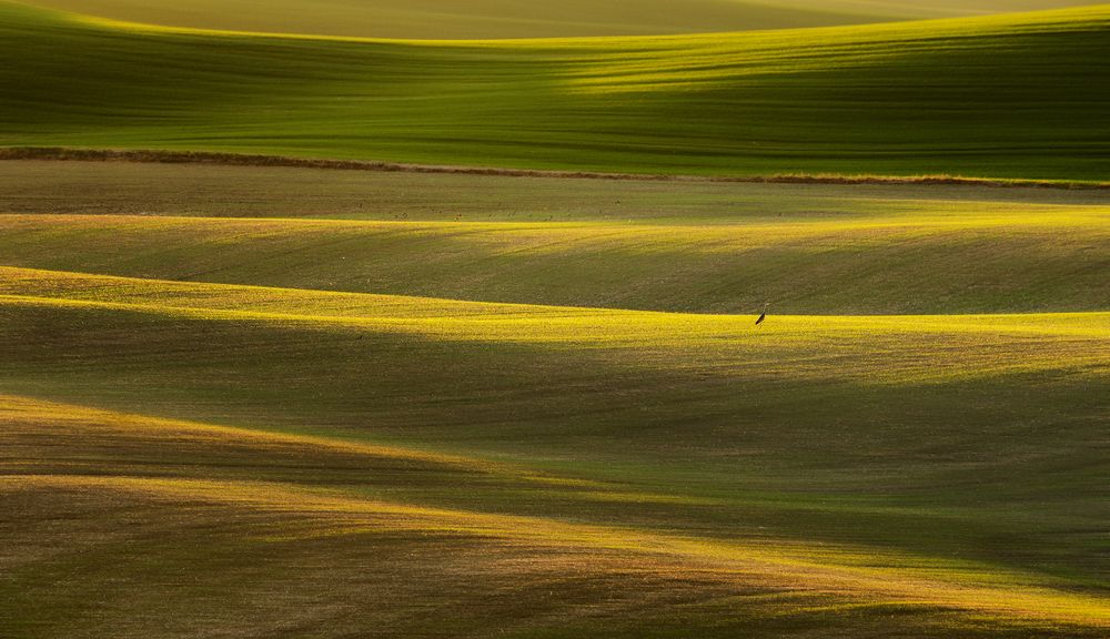 Photograph by Lukasz Zugaj