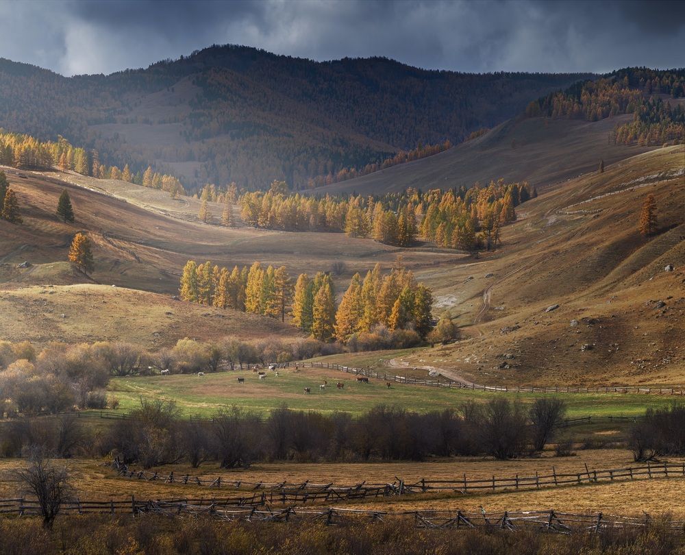 Алтайская Тоскана