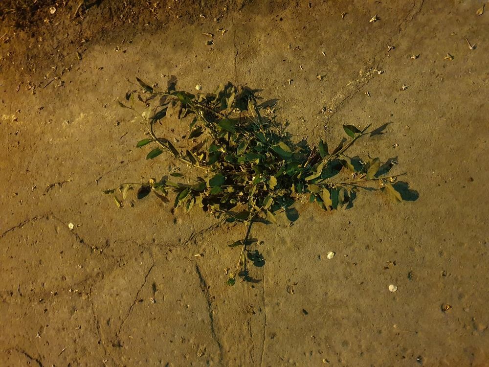 Photograph by Евгения Тупик