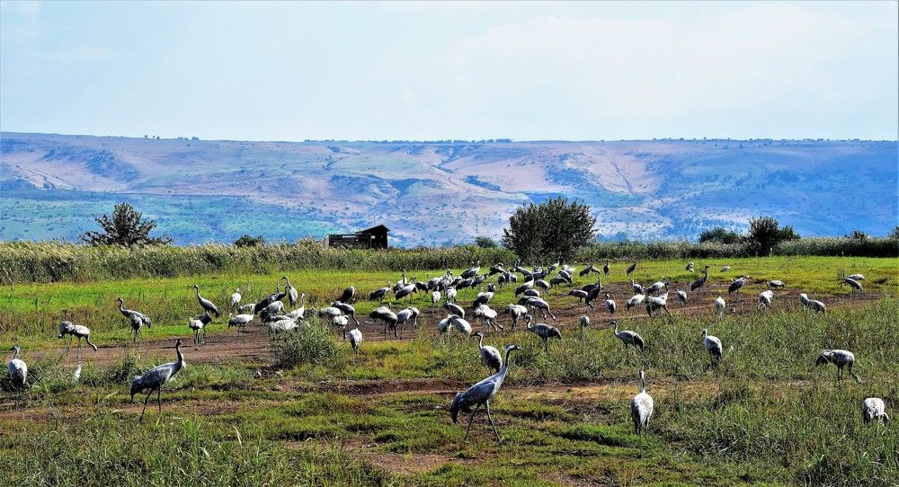 Photograph by Marina Eremin