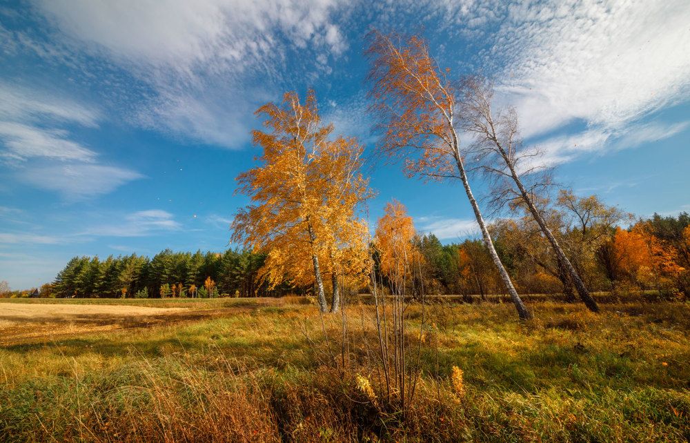 Photograph by Аркадий Саямов
