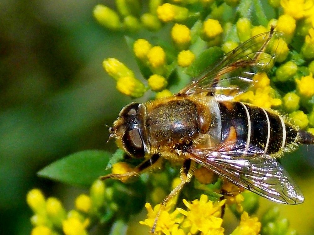 Photograph by Олександр Розум