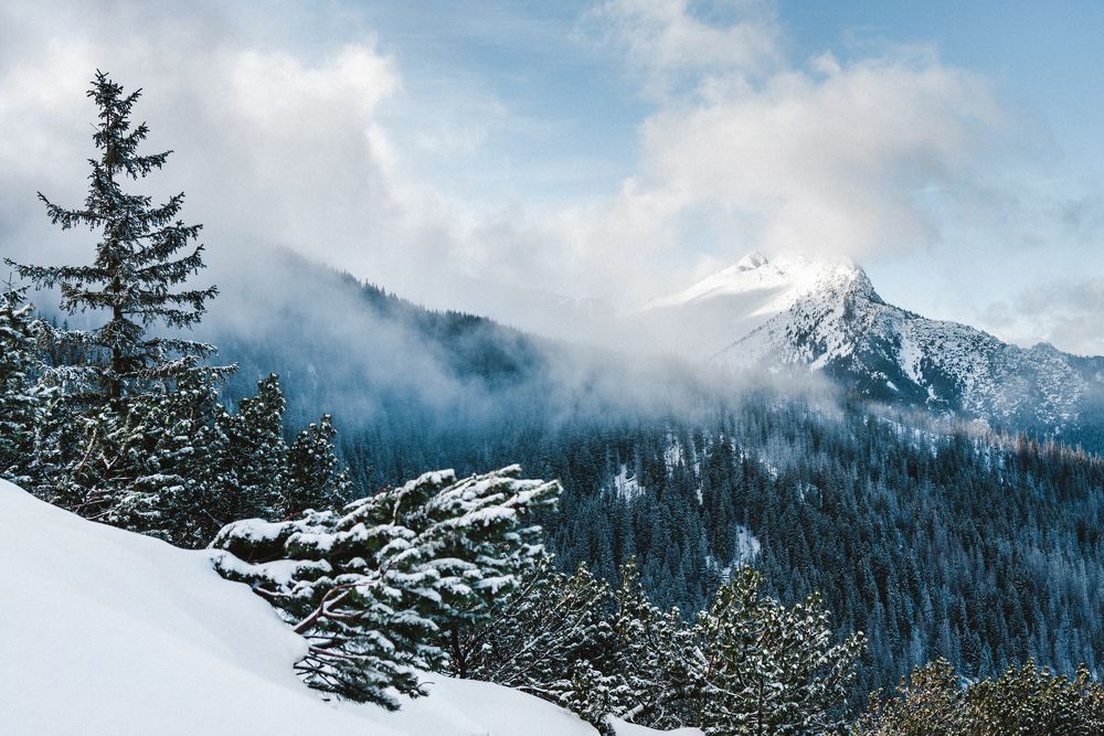 Photograph by Анатолий Кононов