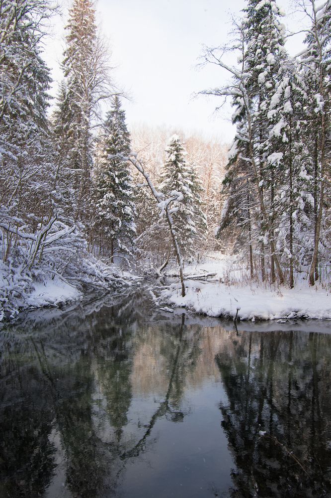 Photograph by Viktoria Alaküla