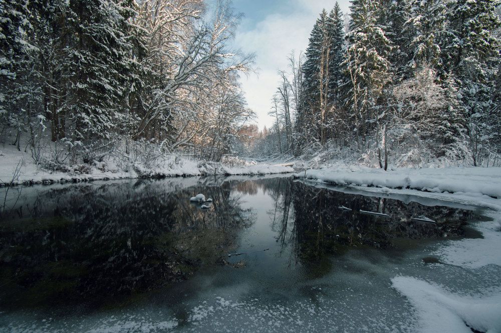 Photograph by Viktoria Alaküla