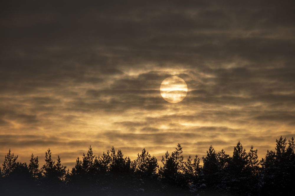 Photograph by Михаил Серебренников