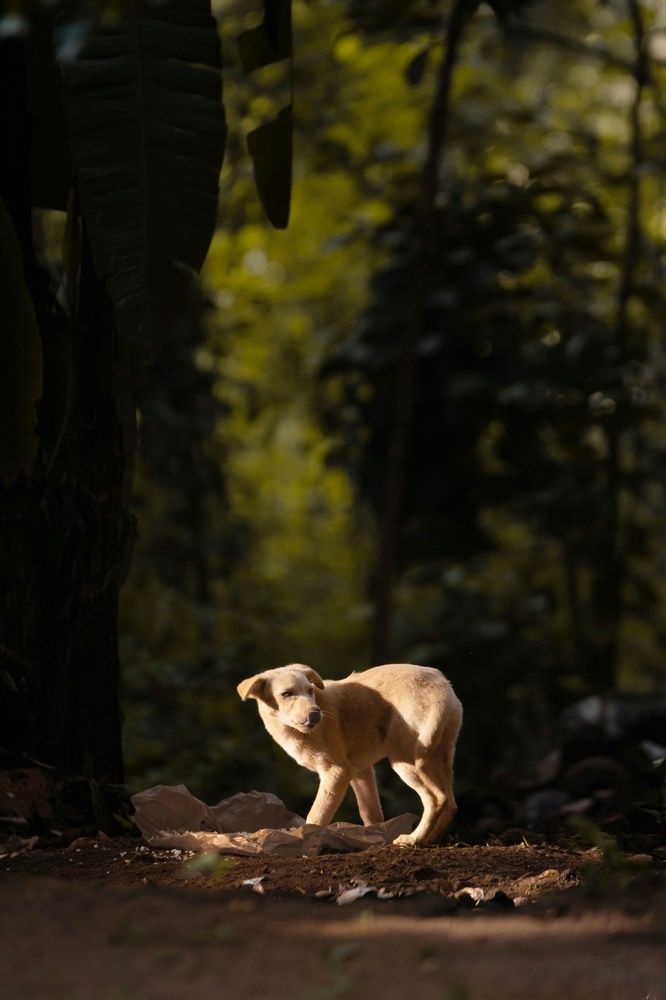 Meet in the early morning friend