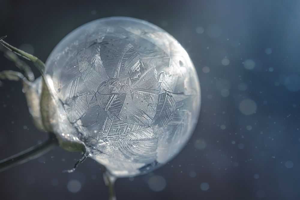 Морозным днём