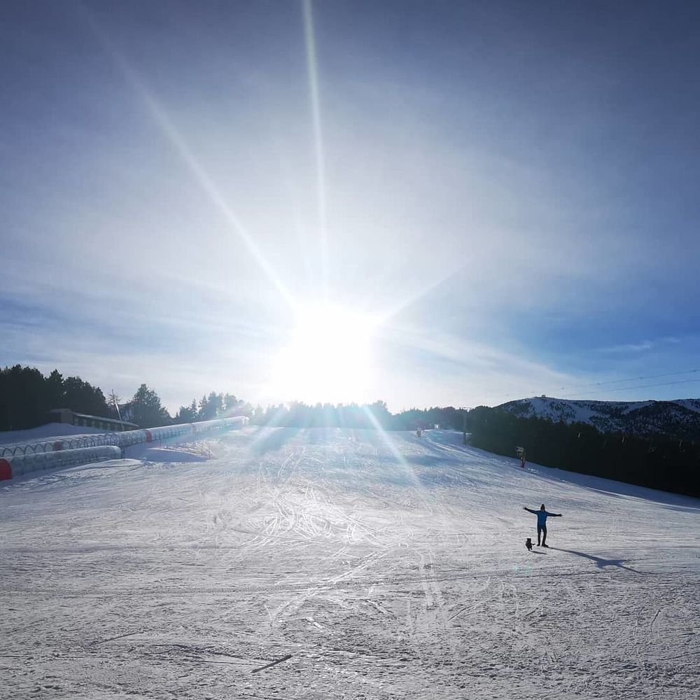 One person & his dog!