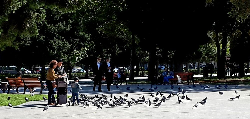 Дневная прогулка