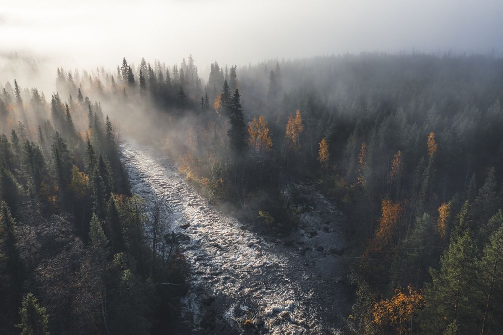 Шовна в тумане
