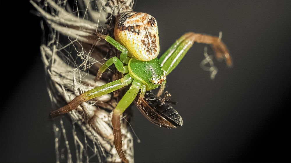 Photograph by Андрей Иванов