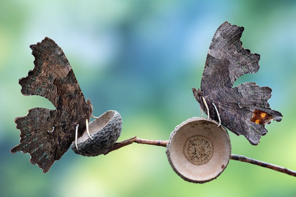 Photograph by MATTEO TRENTIN