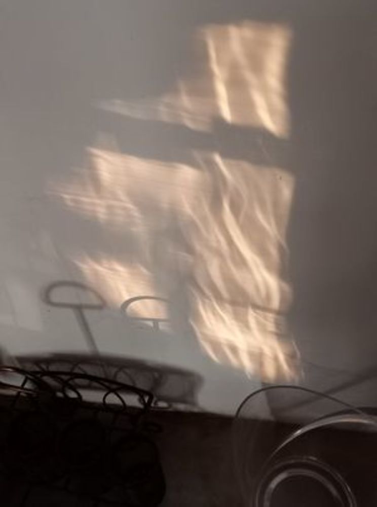 Фотография автора Silvia Tereza Ferrante de Lima