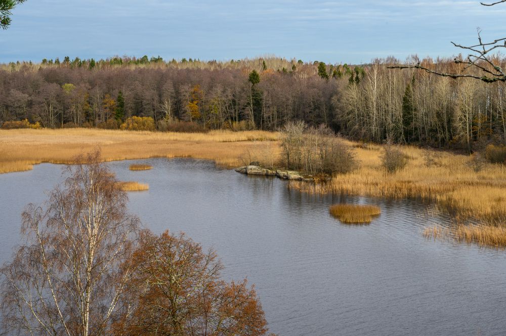 Осенний день.
