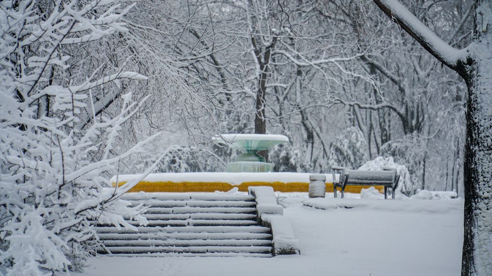 Photograph by Сергей Дубровский