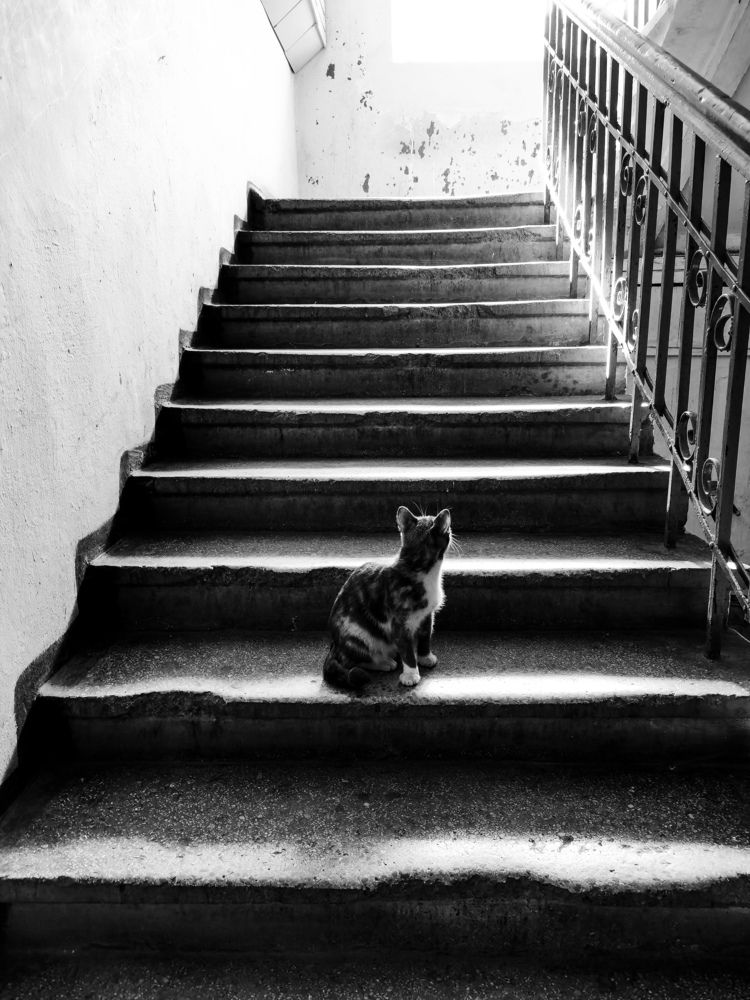 Photograph by Ульяна Рожнова