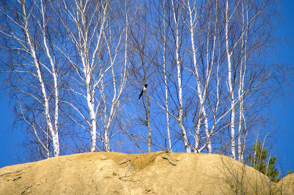 Photograph by Ilуа Chirkov