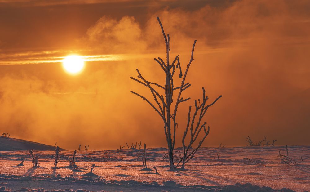 Photograph by Николаева Светлана