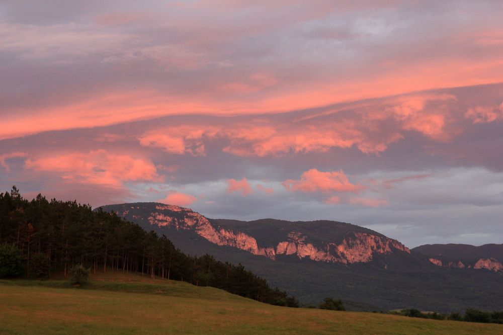 Photograph by Евгения Загудаева