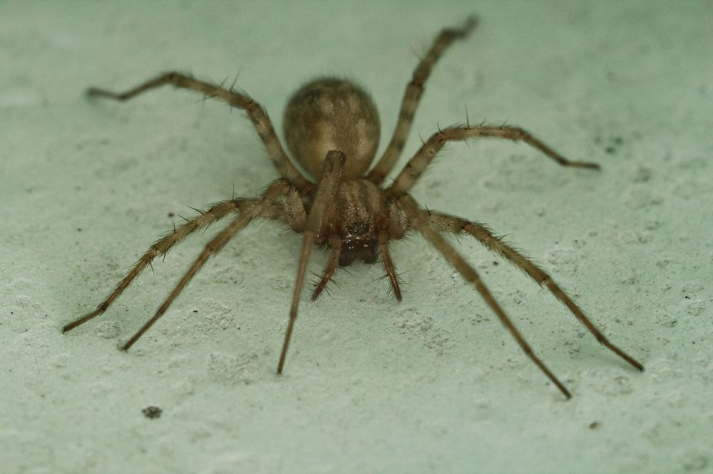 Photograph by Денис Бутин