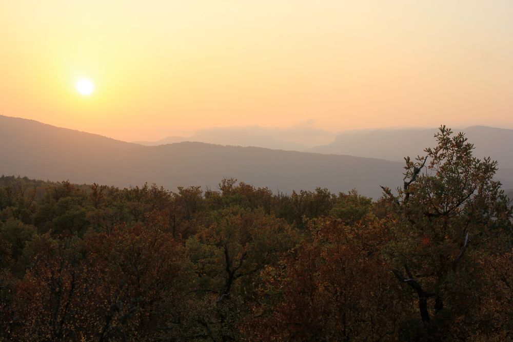 Photograph by Евгения Загудаева