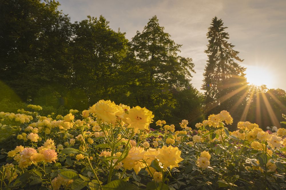 Photograph by Jelena Šmeljova