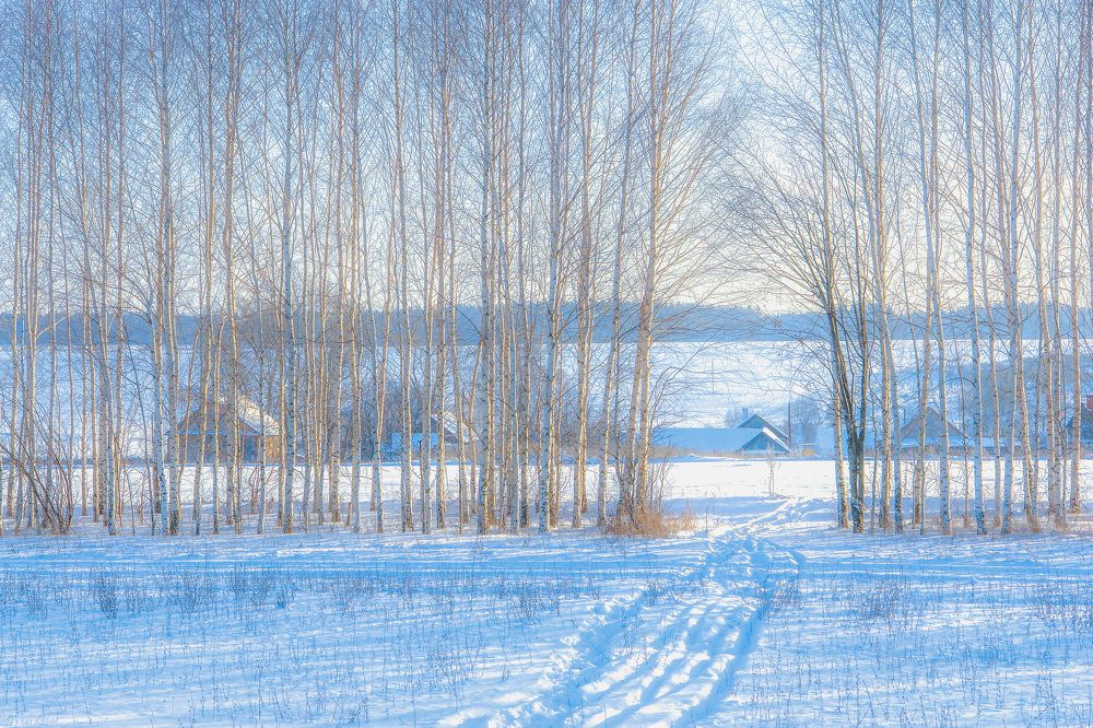 Photograph by Ilуа Chirkov