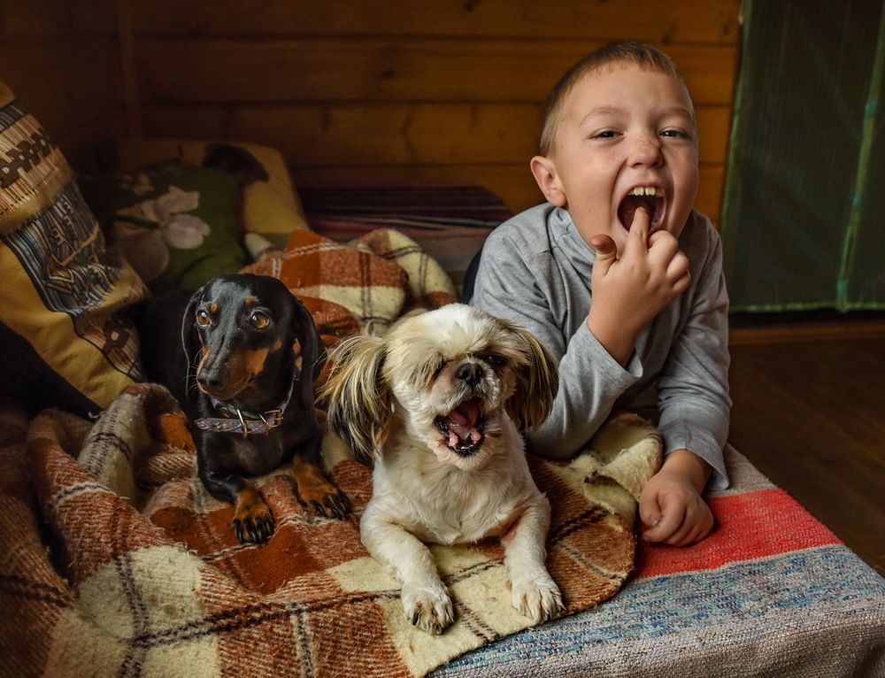 Перед обедом.