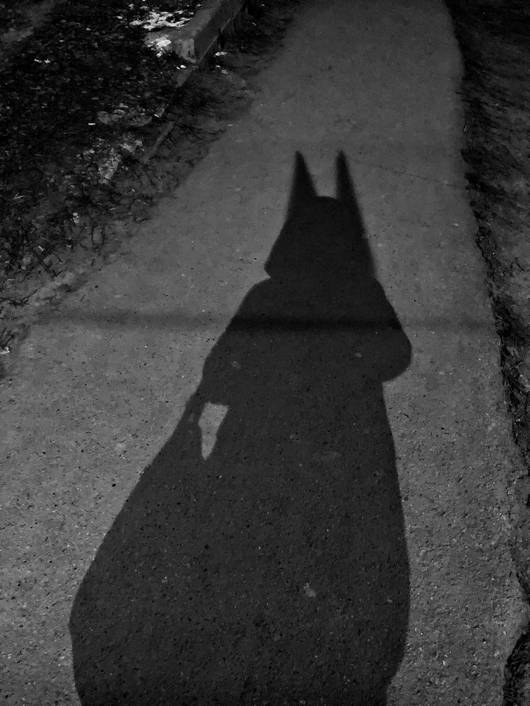 Photograph by Лариса Процкова