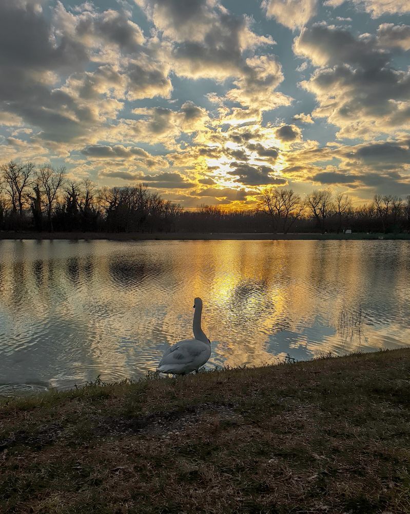 Photograph by Lea Glavaš