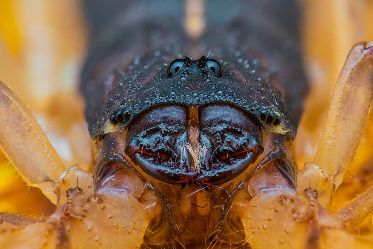 Фотография #5736604