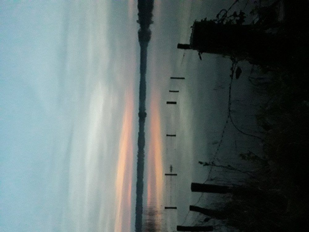 Photo #5736610