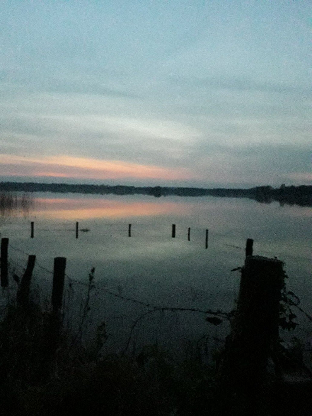 Photo #5736610