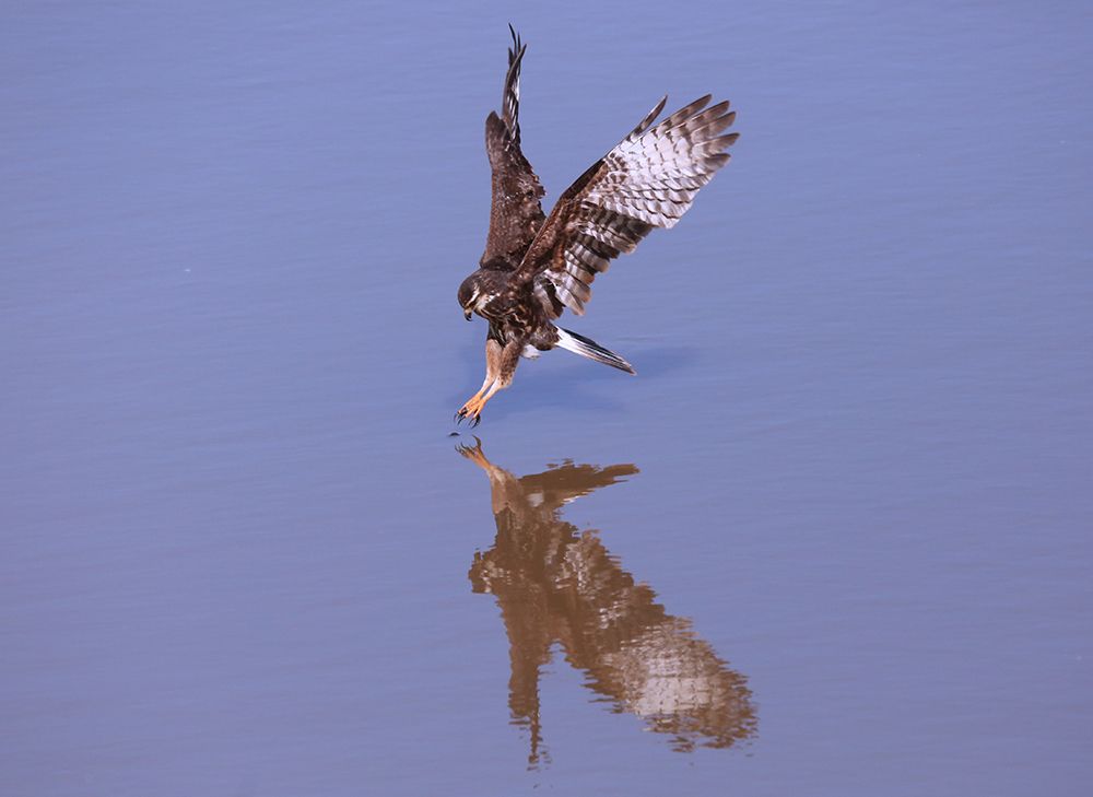 Photograph by Paulo Fernando Campana