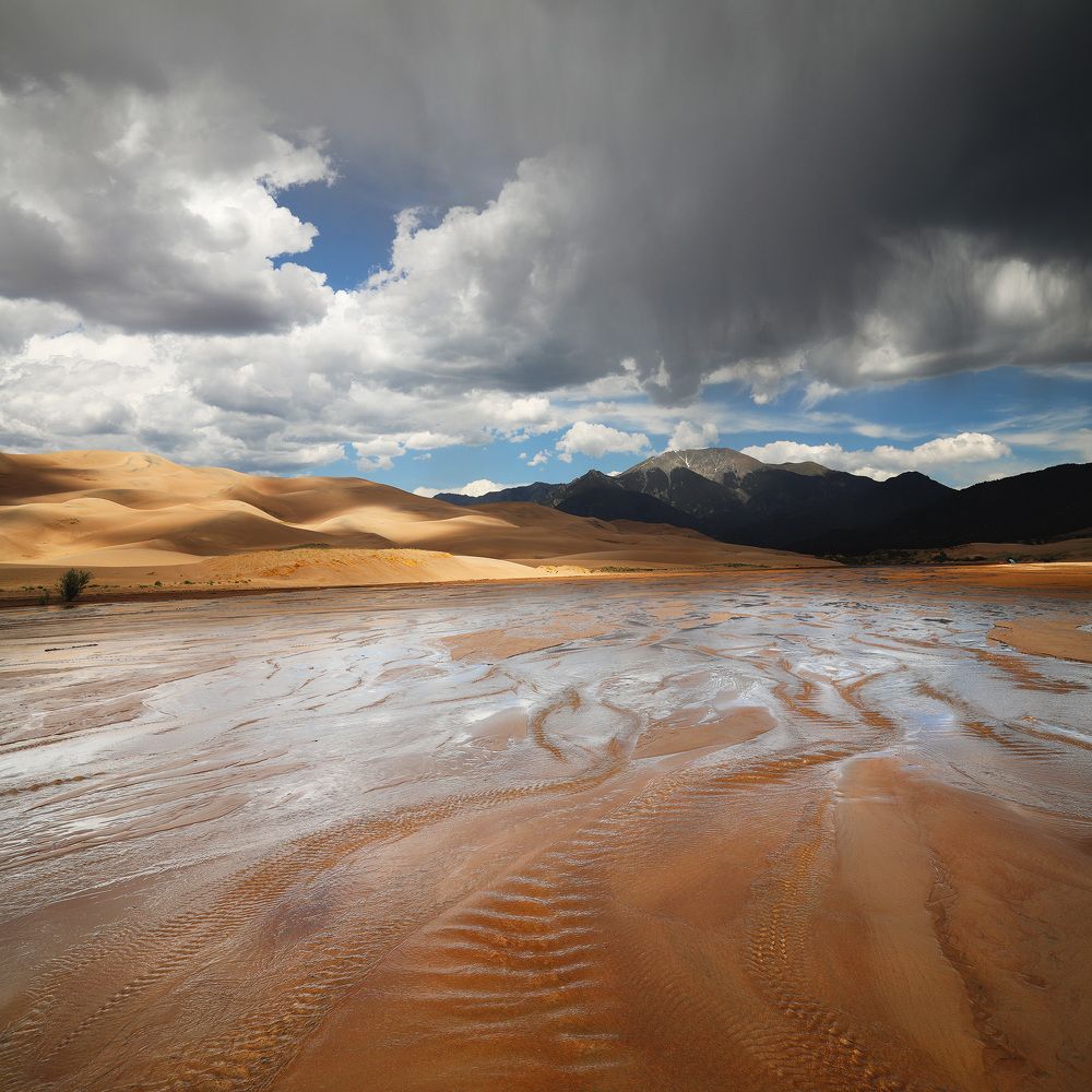 Photograph by Lana Anferow