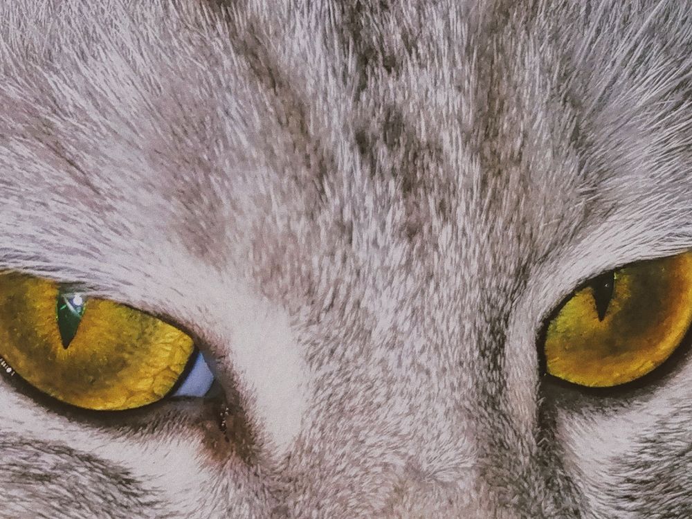 Photograph by Лиза Черемисина