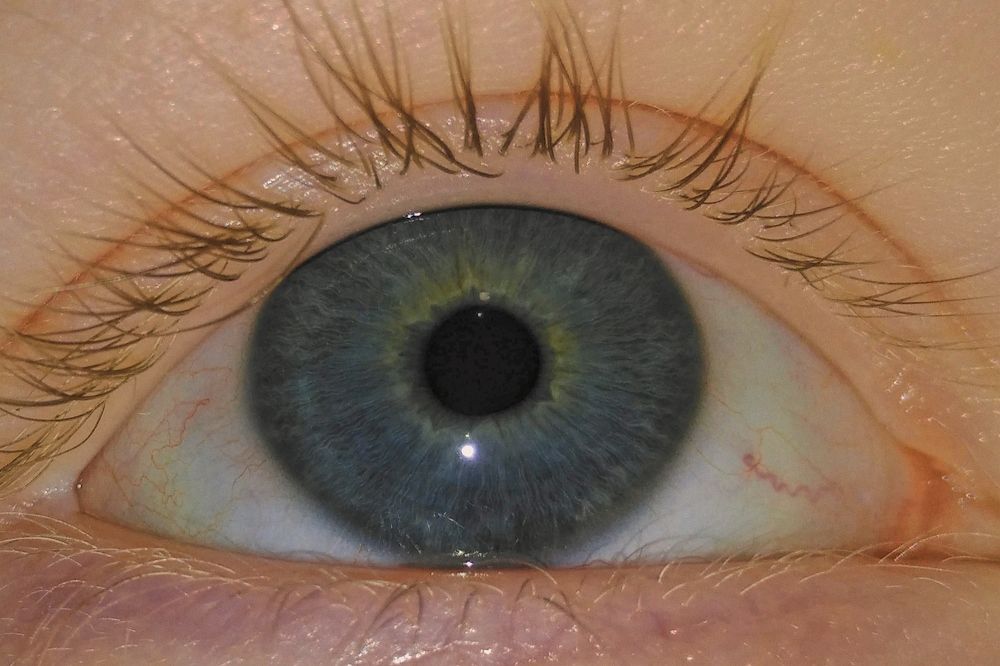 Photograph by Лиза Черемисина