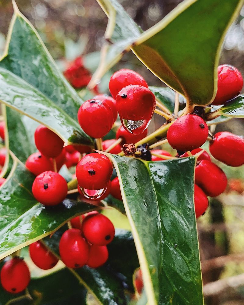 Photograph by Мария